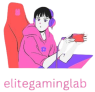 elitegaminglab.com